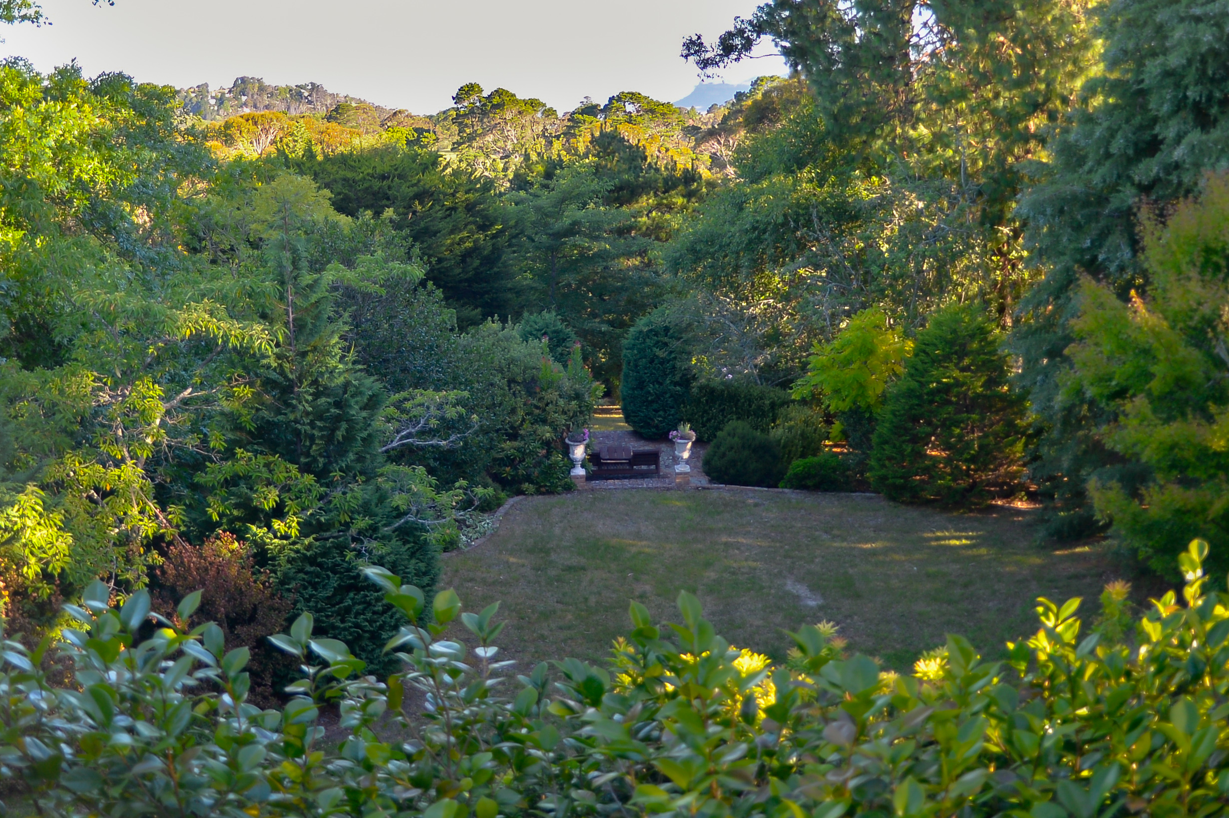 Garden Views from Chatelaine, Katoomba Blue Mountains