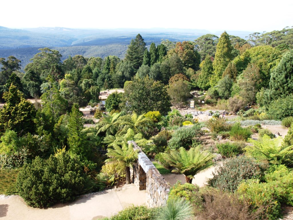 Mount Tomah Botanical Gardens, Blue Mountains 