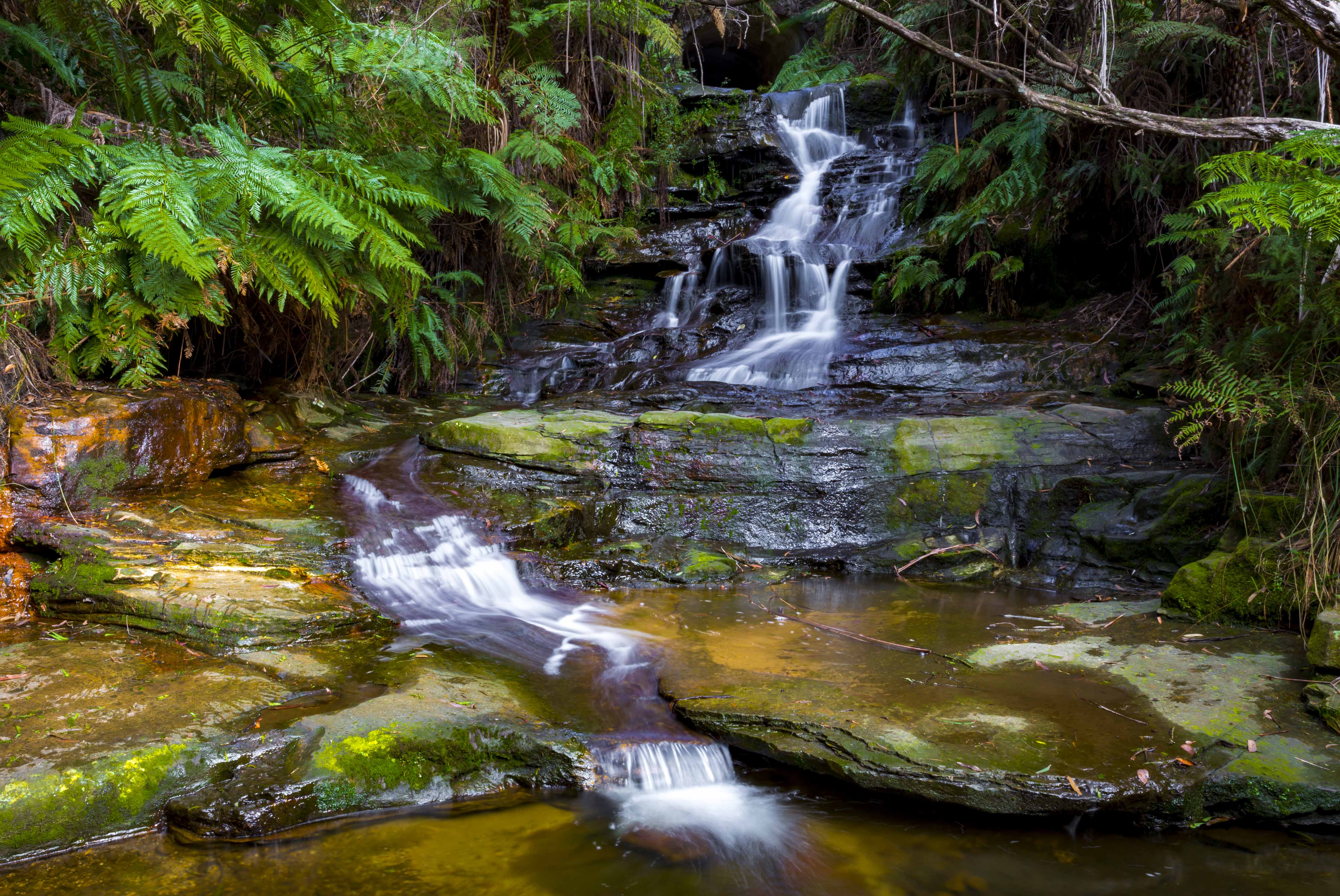 Leura Cascades, Leura Blue Mountains