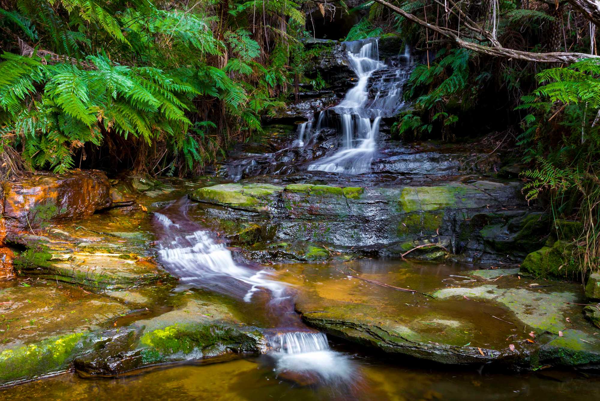 A popular picnic area set amidst tall eucalypts is Leura Cascades, Leura Blue Mountains. Nearby you can take a walk beside the rapids on Leura Falls Creek down to Bridal Veil Falls and Leura Falls