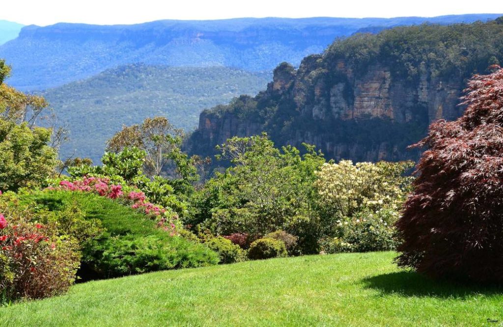 Leura gardens in springtime, Blue Mountains