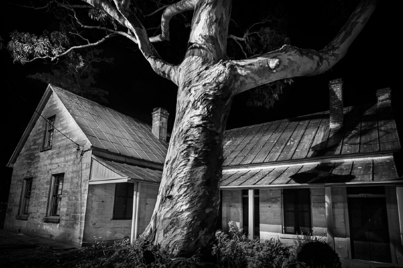 Woodford Academy is a National Trust property located in the lower Blue Mountains