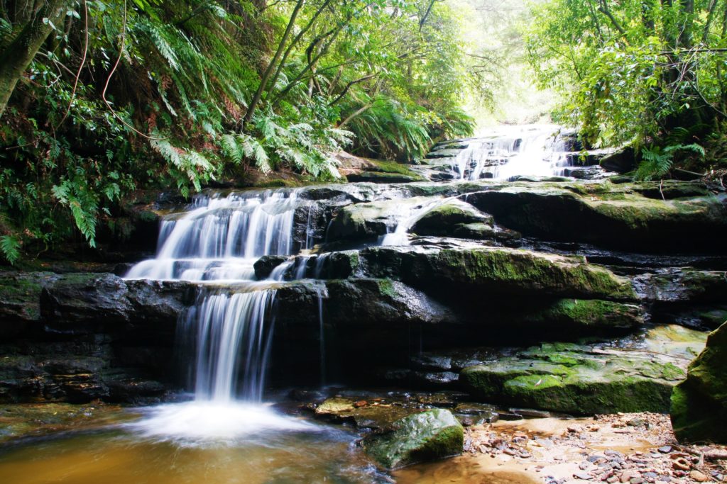 Leura Cascades Blue Mountains