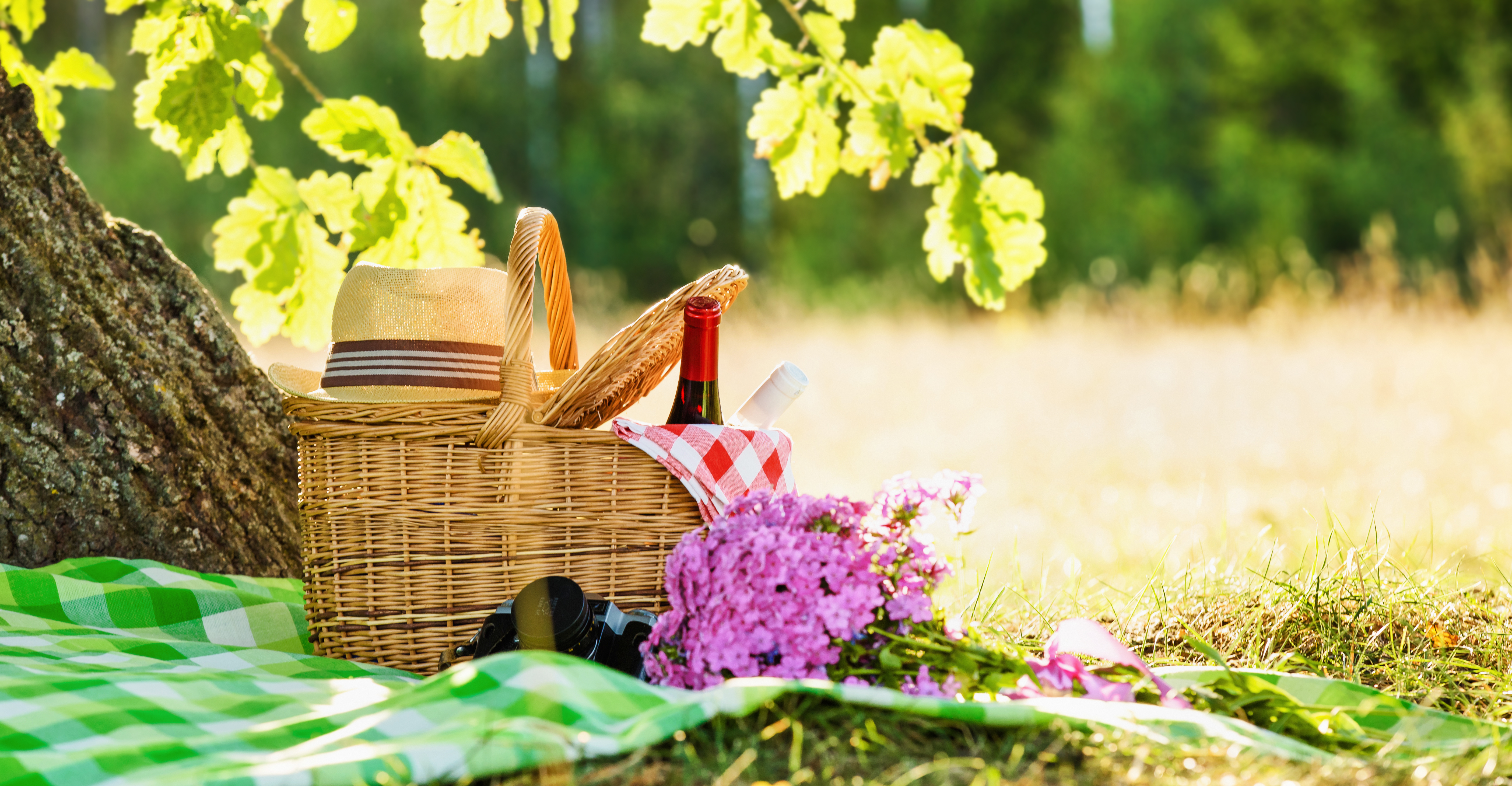Pack your picnic basket and take advantage of many wonderful spots