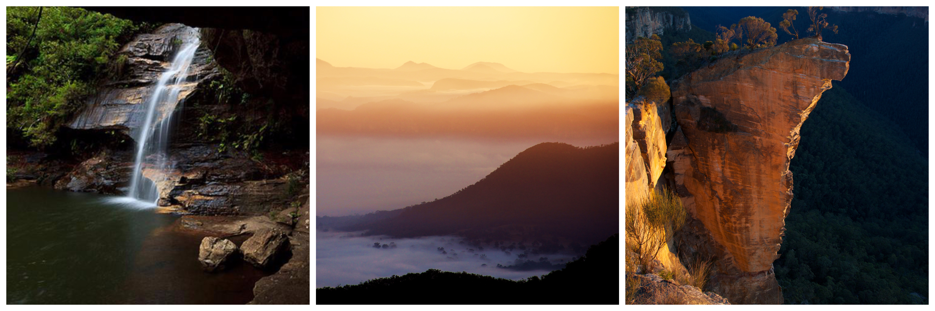 Nature collage of the Blue Mountains