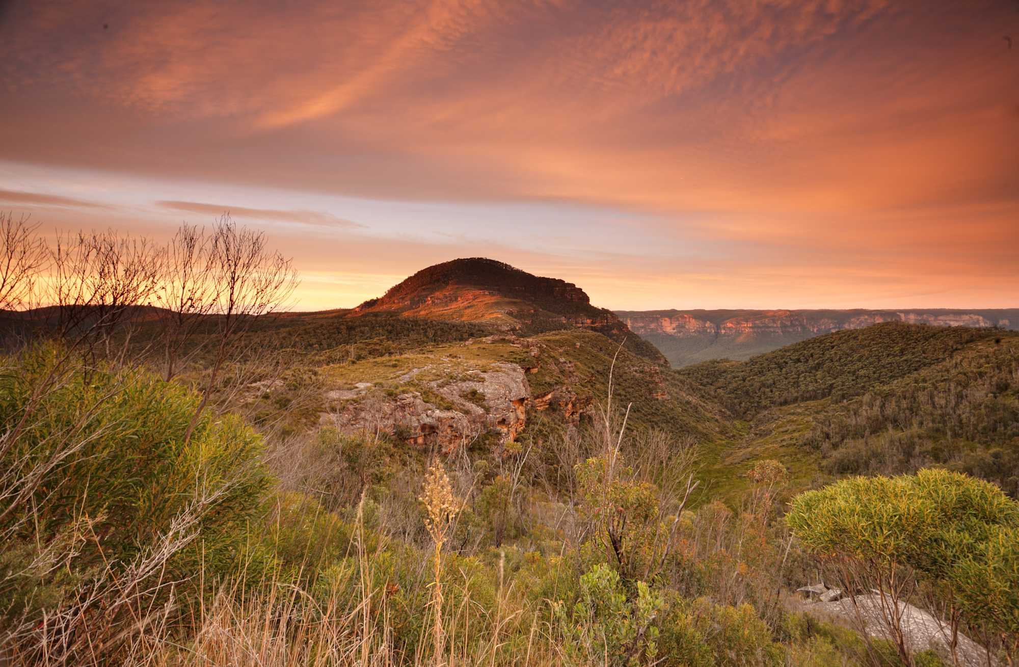 Taking in the sights and sounds on a bush walk through the Blue Mountains