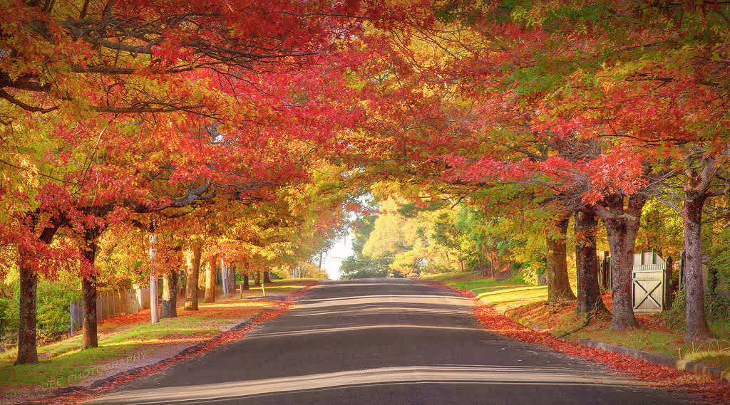 Escape for a mind, body and soul autumnal getaway in the Blue Mountains