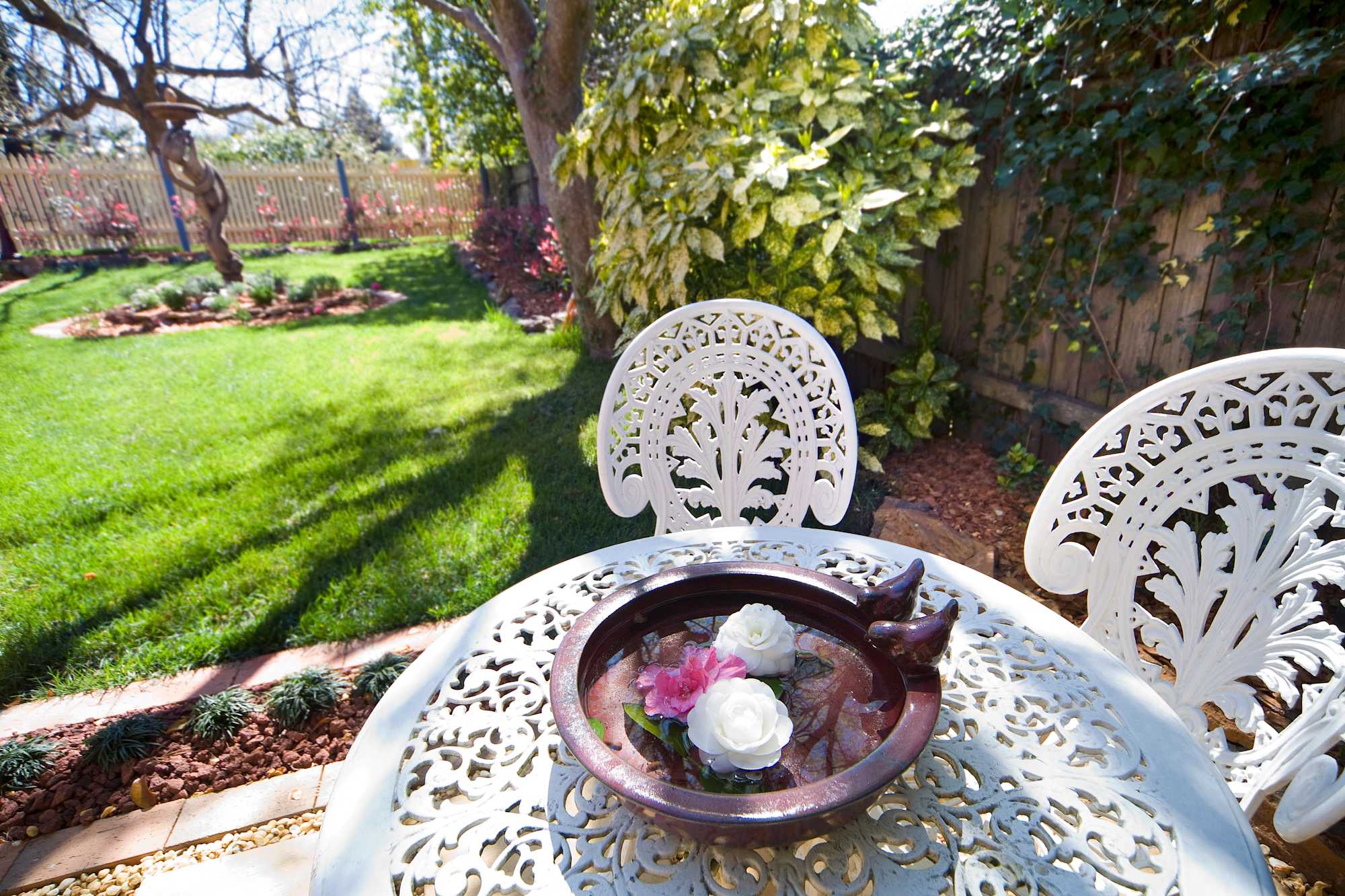 Experience springtime at Mountain Whispers, Katoomba and Leura Blue Mountains