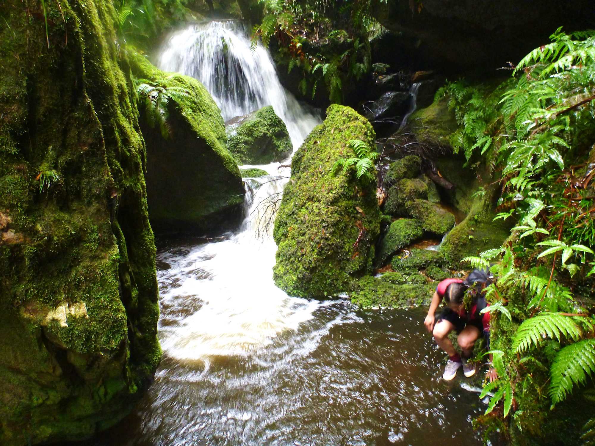 Escape to the majestic Blue Mountains and swim in a pristine waterfall.