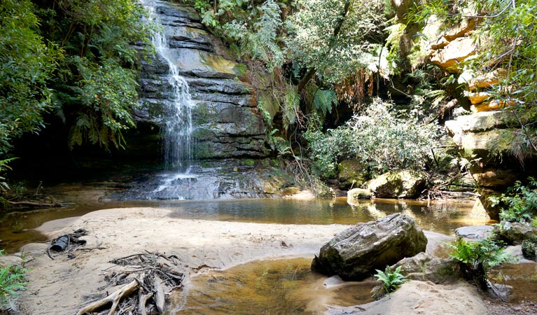 Lyrebird Dell, Leura Blue Mountains