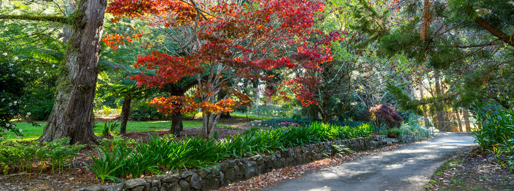 BM Botanical Gardens