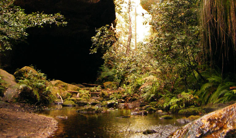 Grand Canyon walking track located at Blackheath in the Blue Mountains 