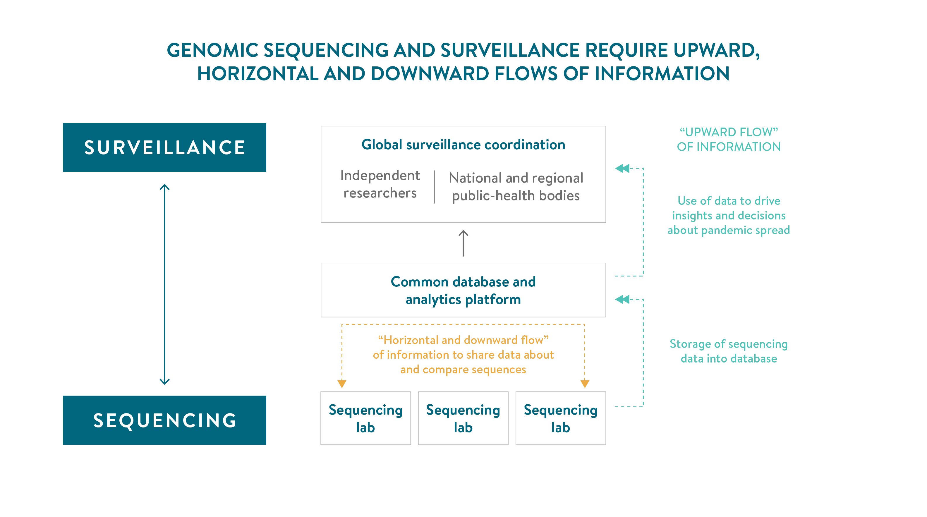variants-africa-recommendations-preventing-enduring-pandemic - Figure 4 – Genomic sequencing and surveillance information flow