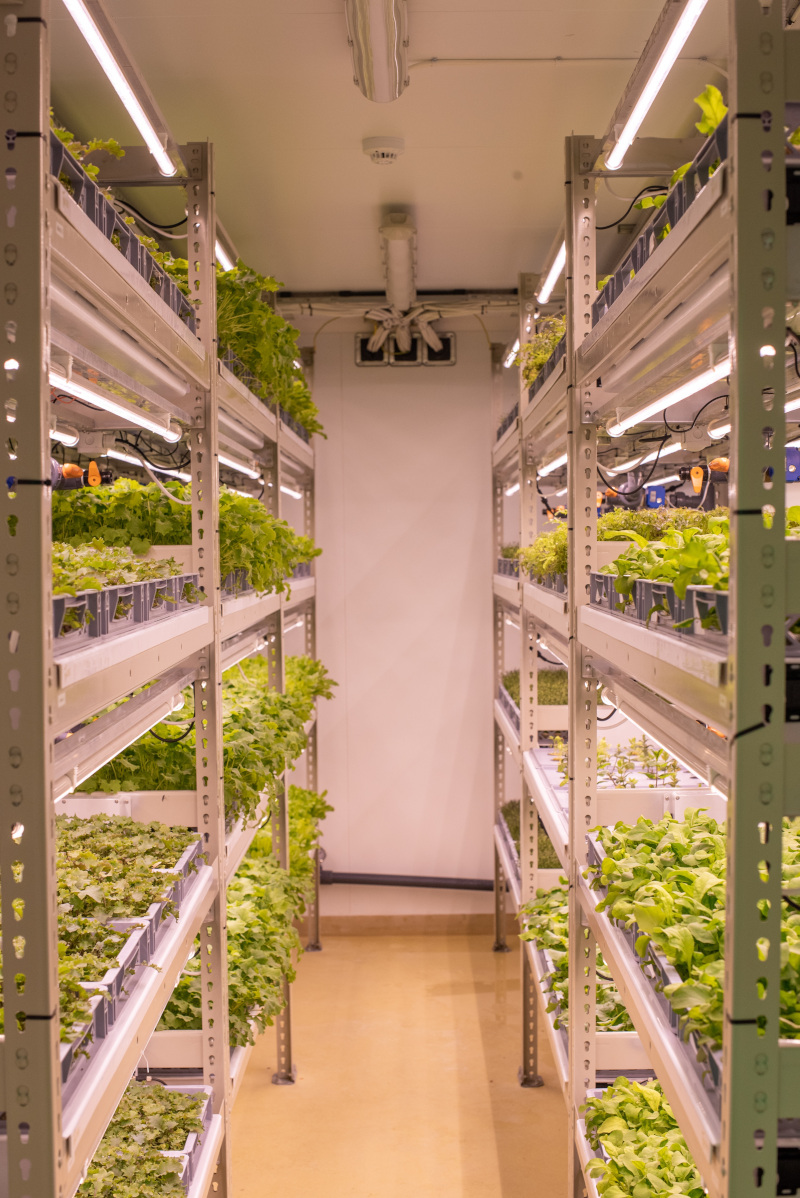 Figure 2 – Aeroponic vertical farm in a repurposed shipping container in Bristol, UK