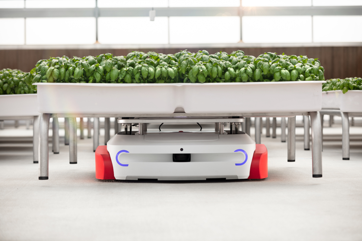 Figure 3 – Robots ensure basil receives optimal sunlight at a precision greenhouse in California