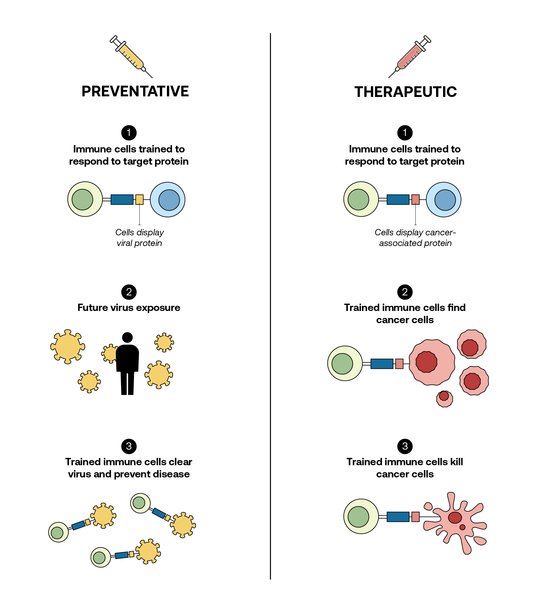 A graphic showing preventative and therapeutic uses of mRNA technologies