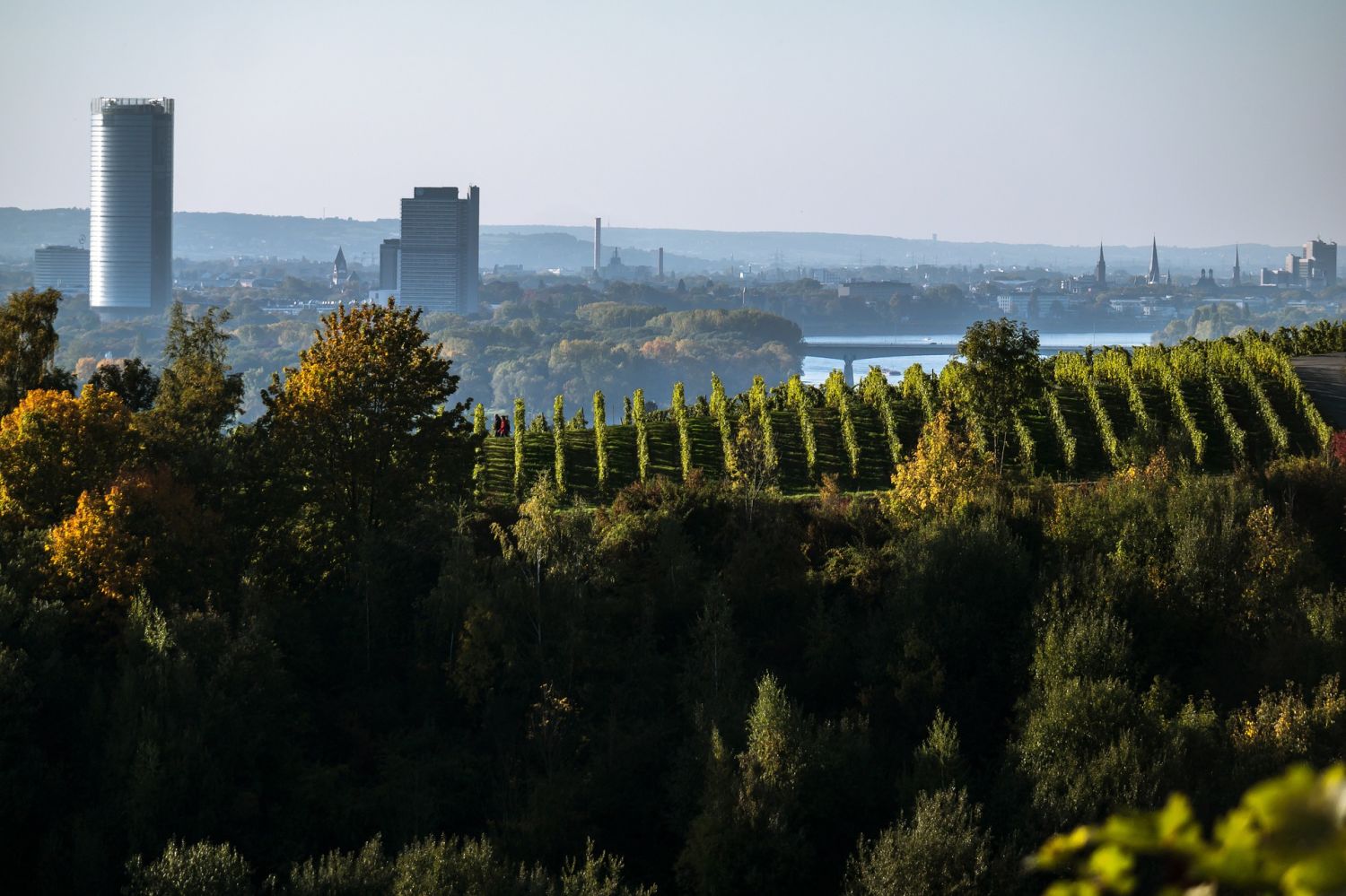 Die Stadt Bonn aus der Ferne mit dem Rhein