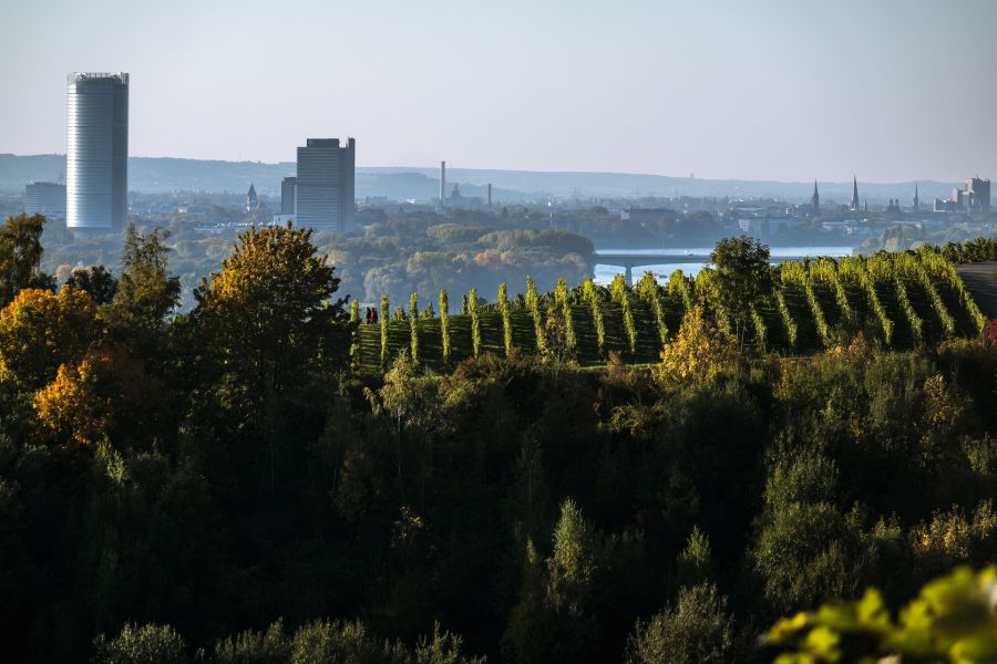 Bonn Skyline