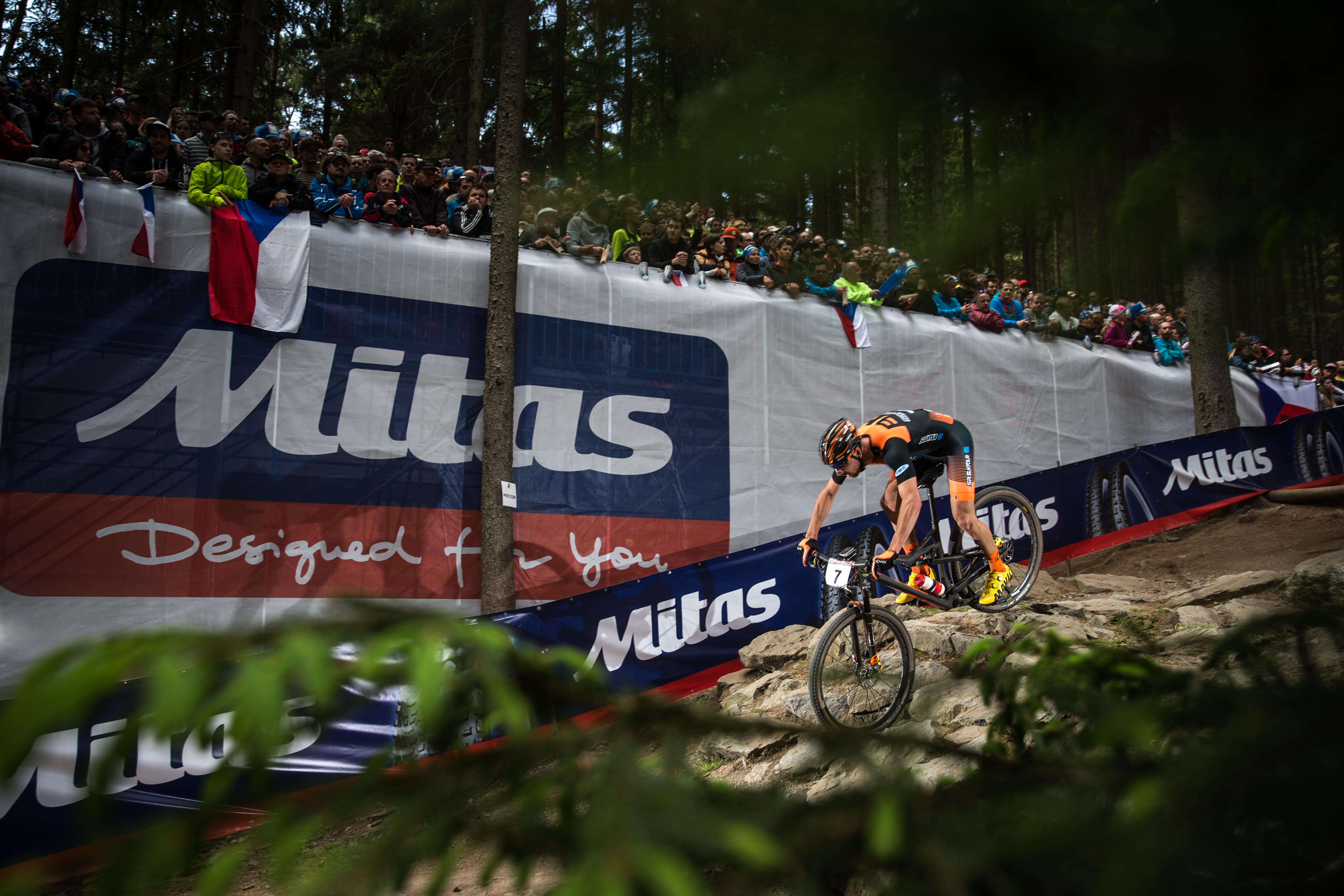 best peloton pop rides