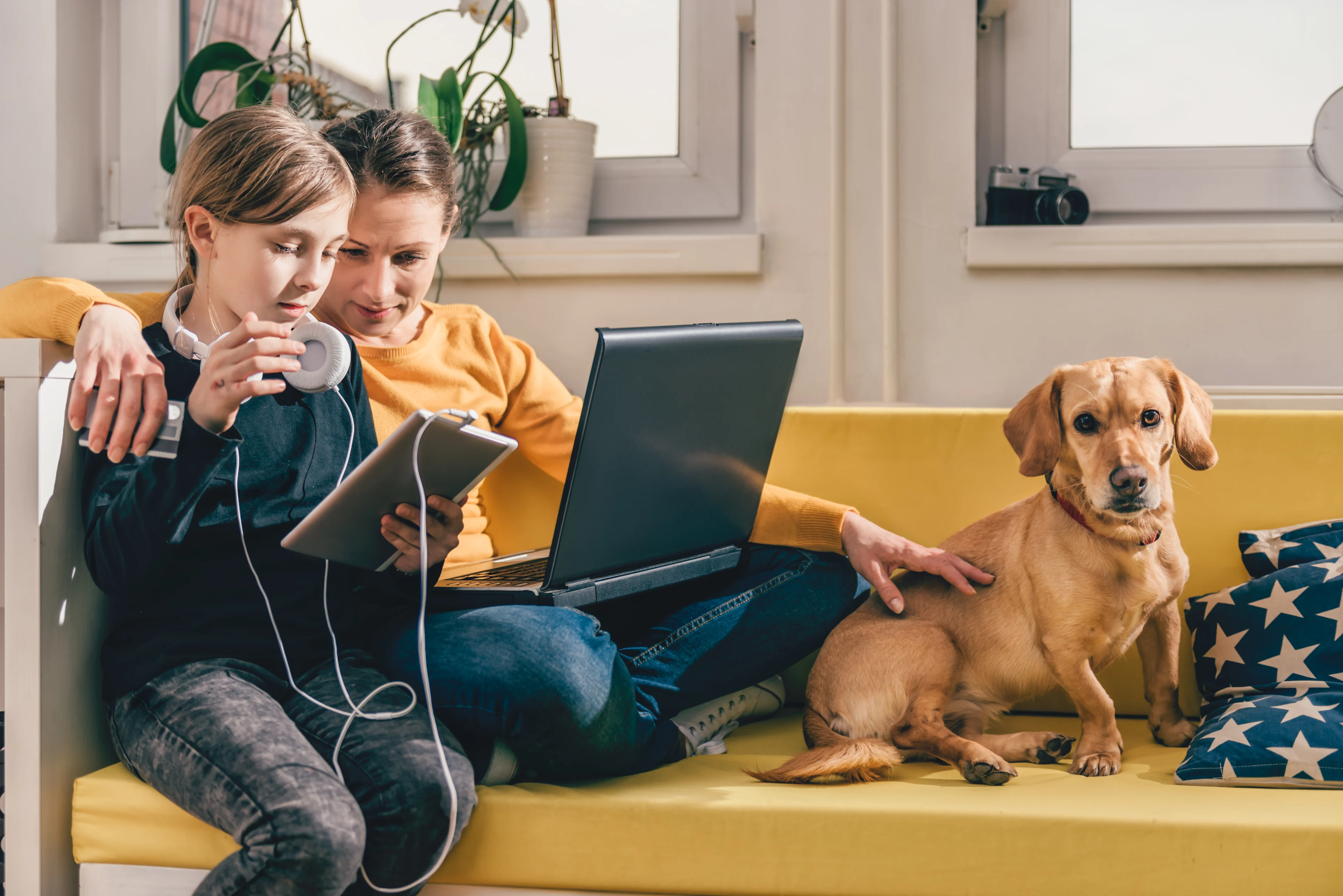 Couple watching screen in evening