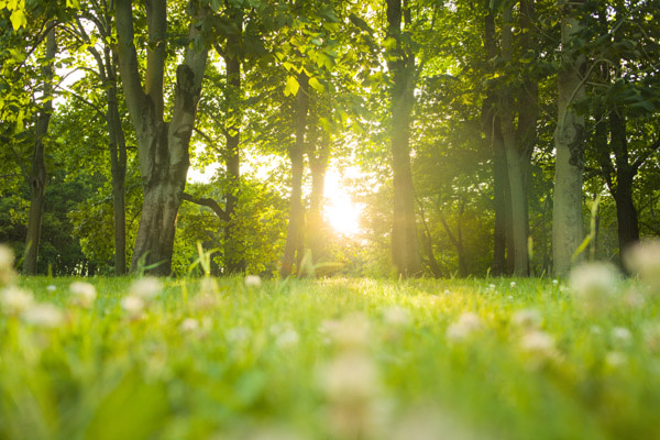 Environmental sustainability Hero Image 1