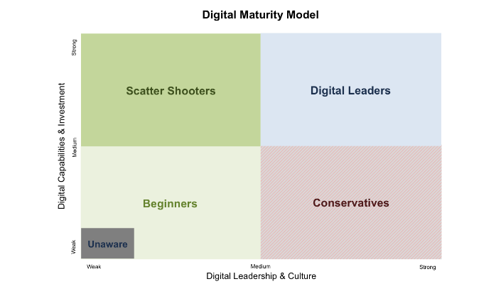 Digital Maturity Model