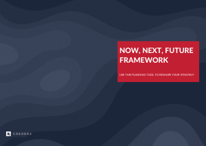 Now, Next, Future Framework
