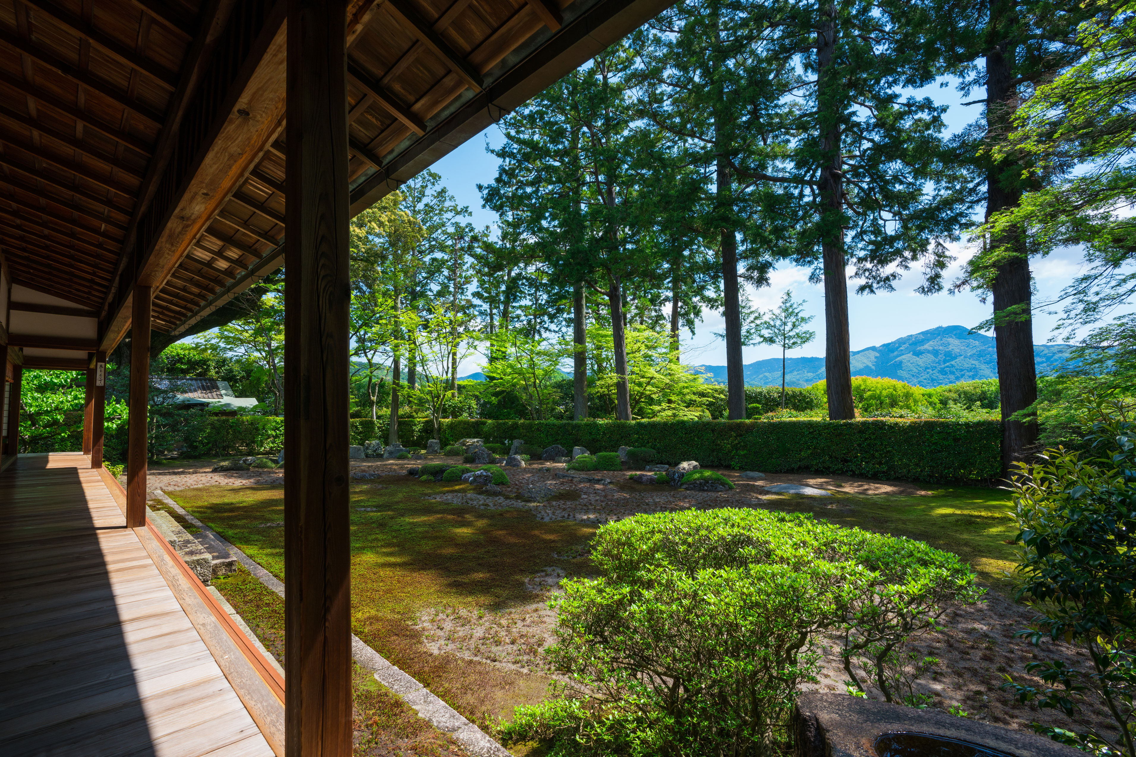 Media-rich, mobile-friendly site amplifies engagement by 20%