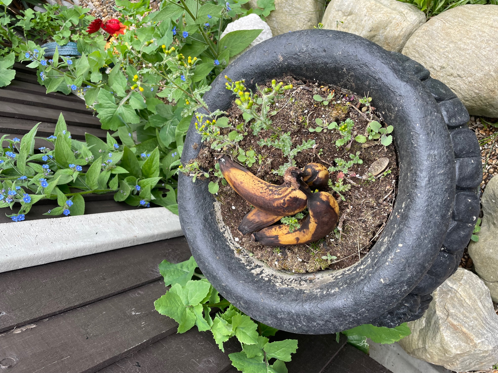 "It's little things like me remembering I now have a garden, so I don't have to throw food away, I can put it in the garden and let nature have at it!"