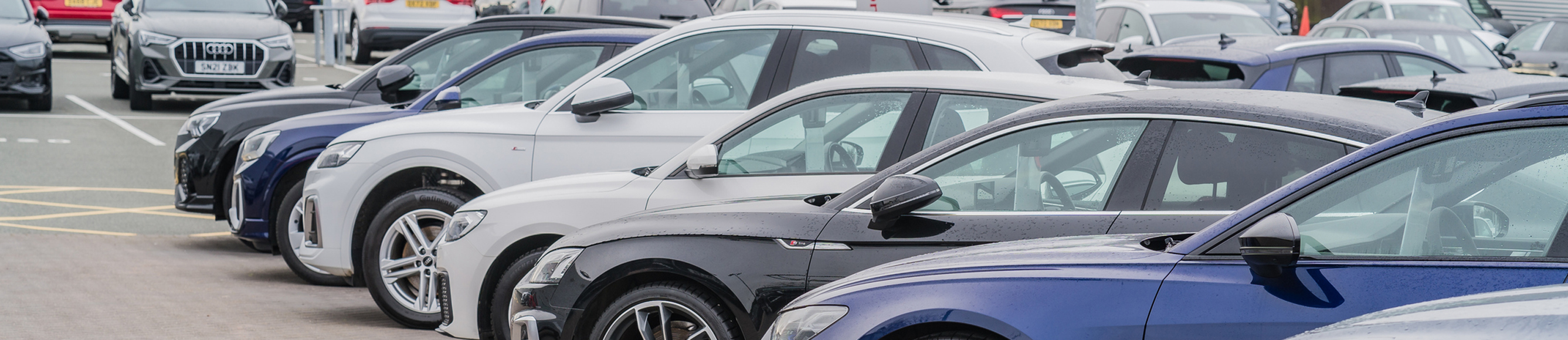 Luxury automaker boosts engagement and conversions with Credera's personalization strategies