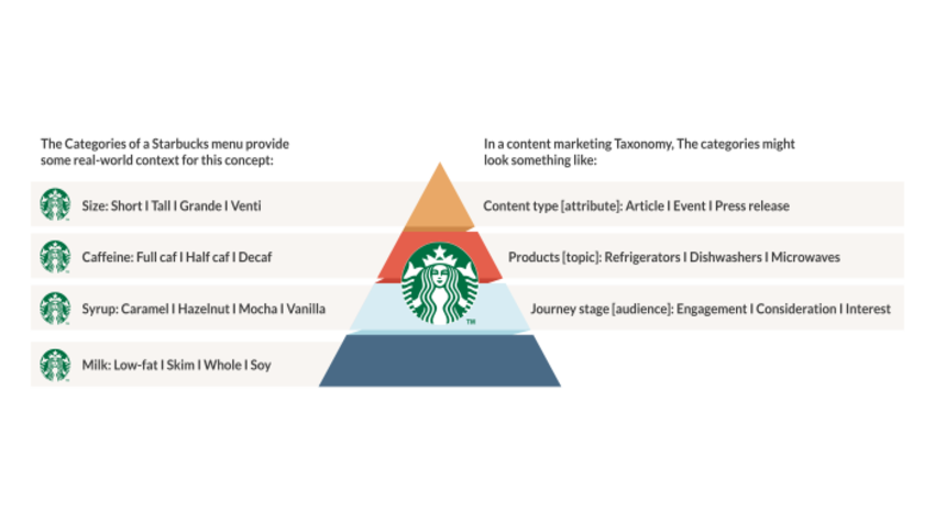 Content Taxonomy Is the Backbone of Internal Site Search