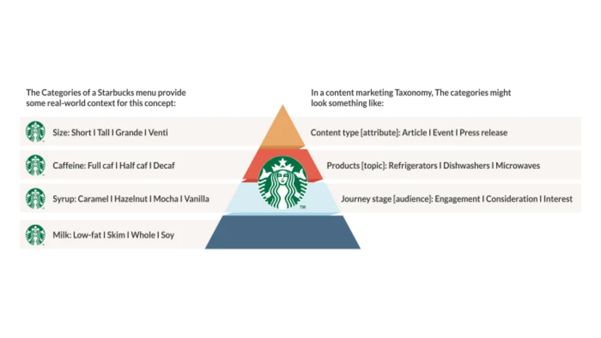 Content Taxonomy Is the Backbone of Internal Site Search