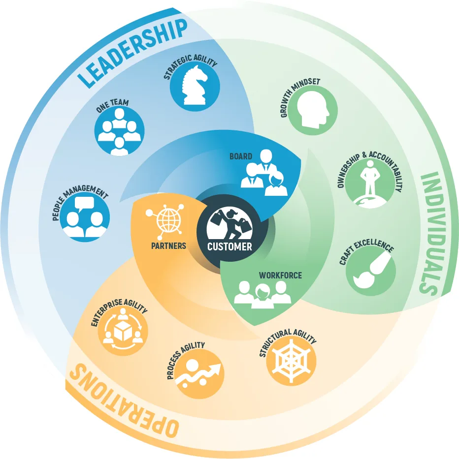 Domains of Business Agility