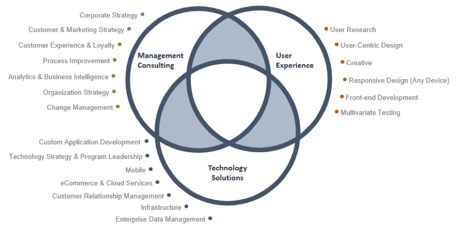 it management consultants