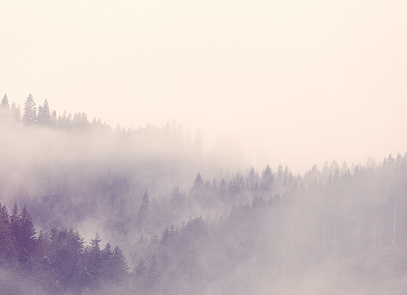 Market Sizing: How to Address the Fog of Innovation