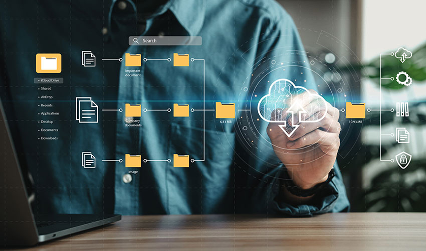 The Importance of CDPs in a Cookieless World