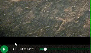 Bad UI Gif