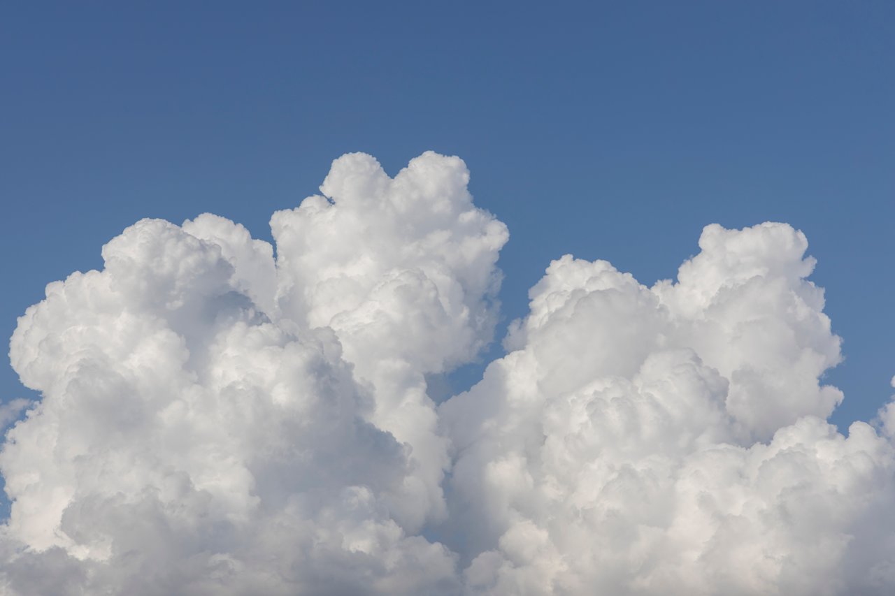 Global energy company achieves 50% reduction in digital carbon profile