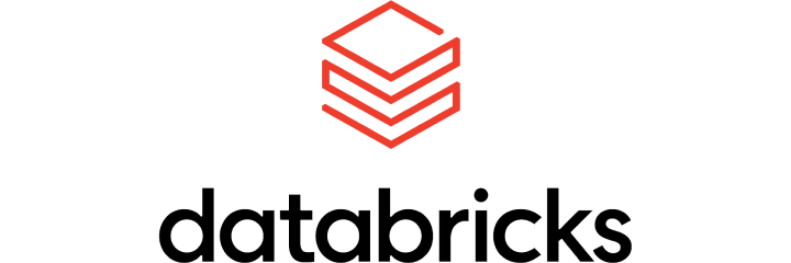 Databricks partner