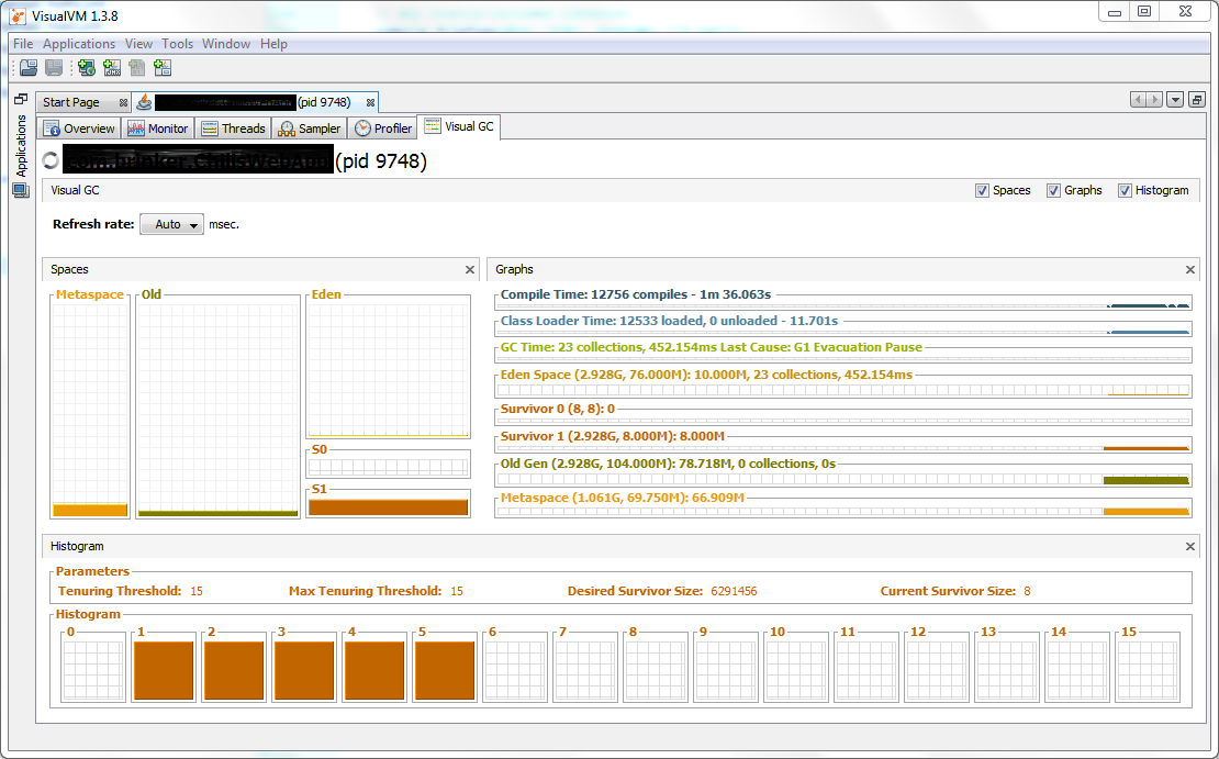 VisualVM-Garbage-Collection-Tab