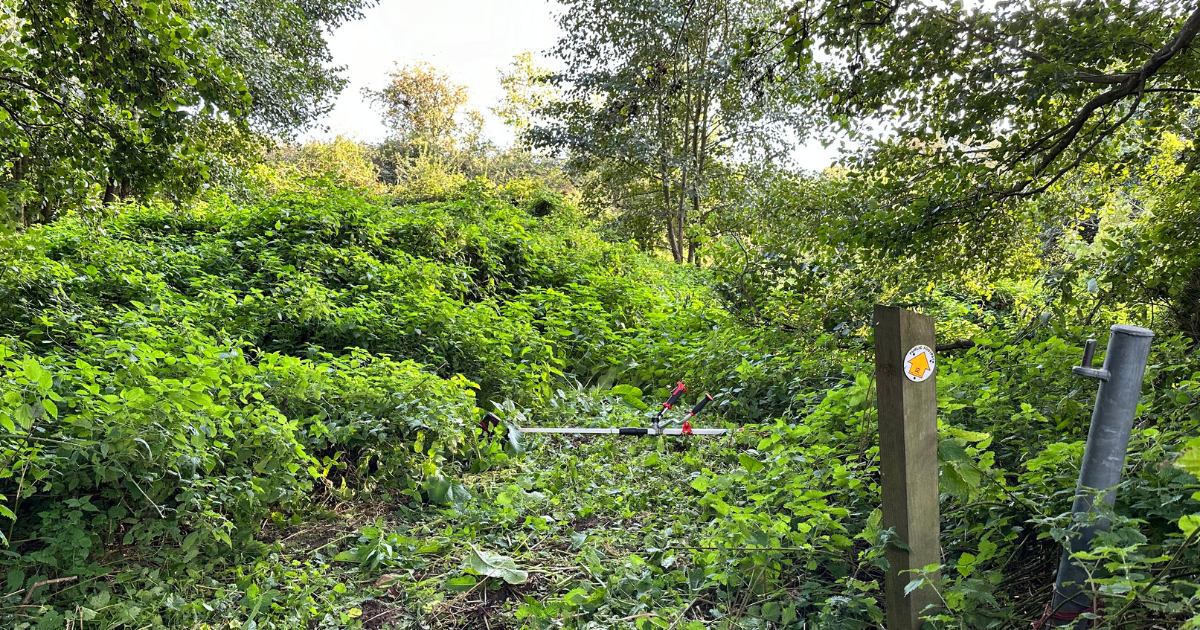 VTO at Credera: Taming Stisted’s Wild Footpaths