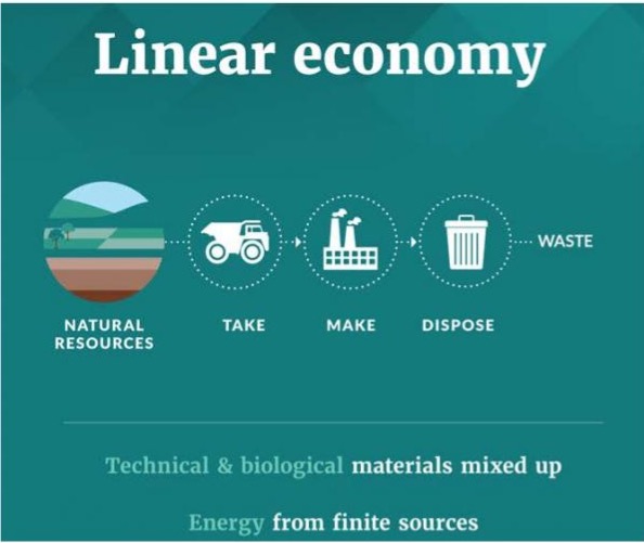 Linear Economy