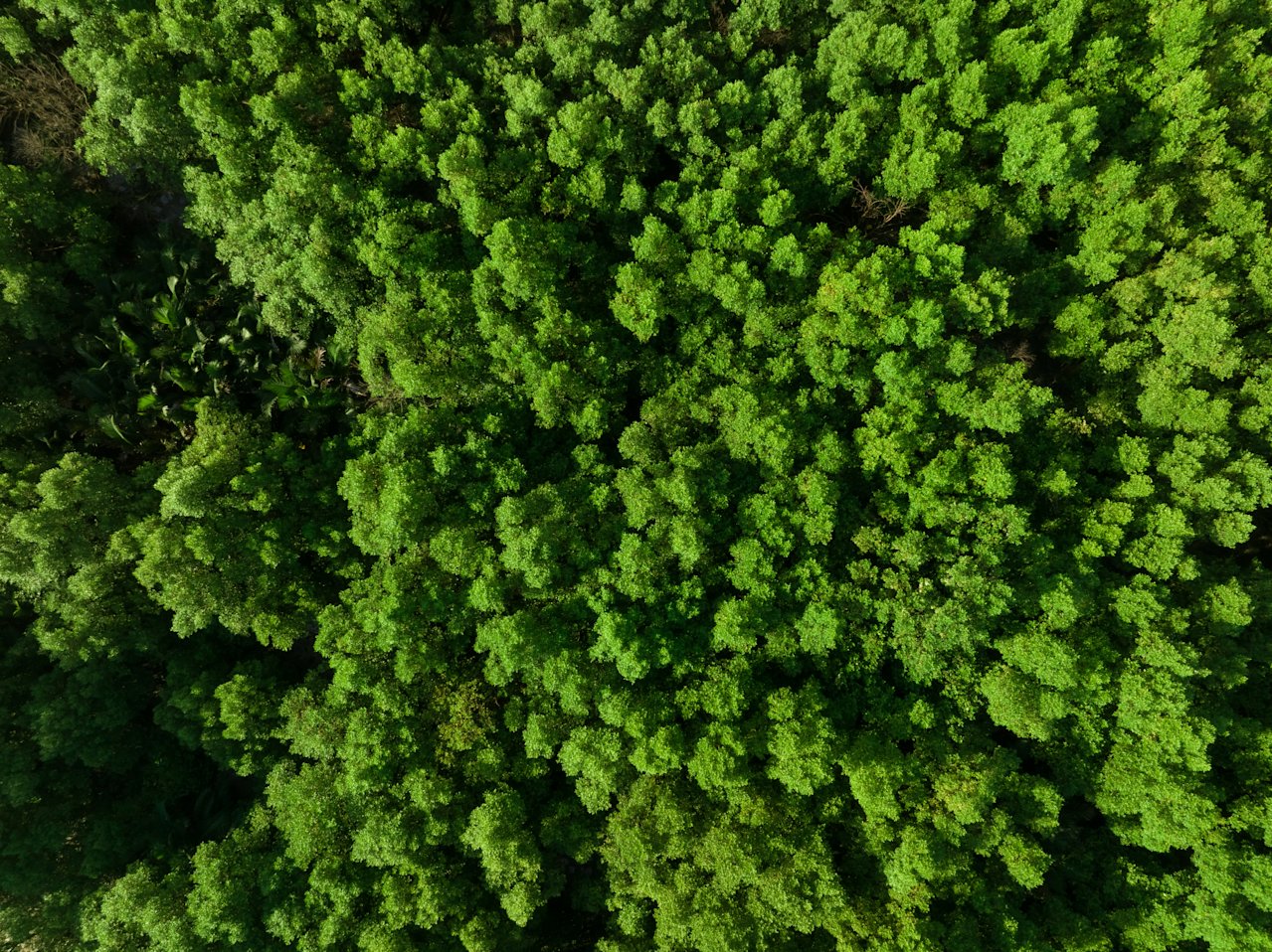 Equipping Omnicom with a centralized data platform and carbon accounting tool to track carbon emissions