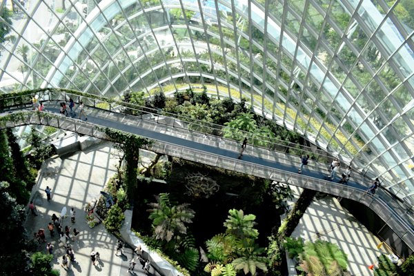 Investing in environmental sustainability