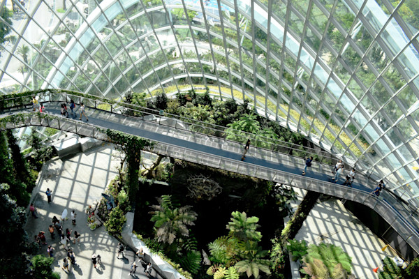 Investing in environmental sustainability