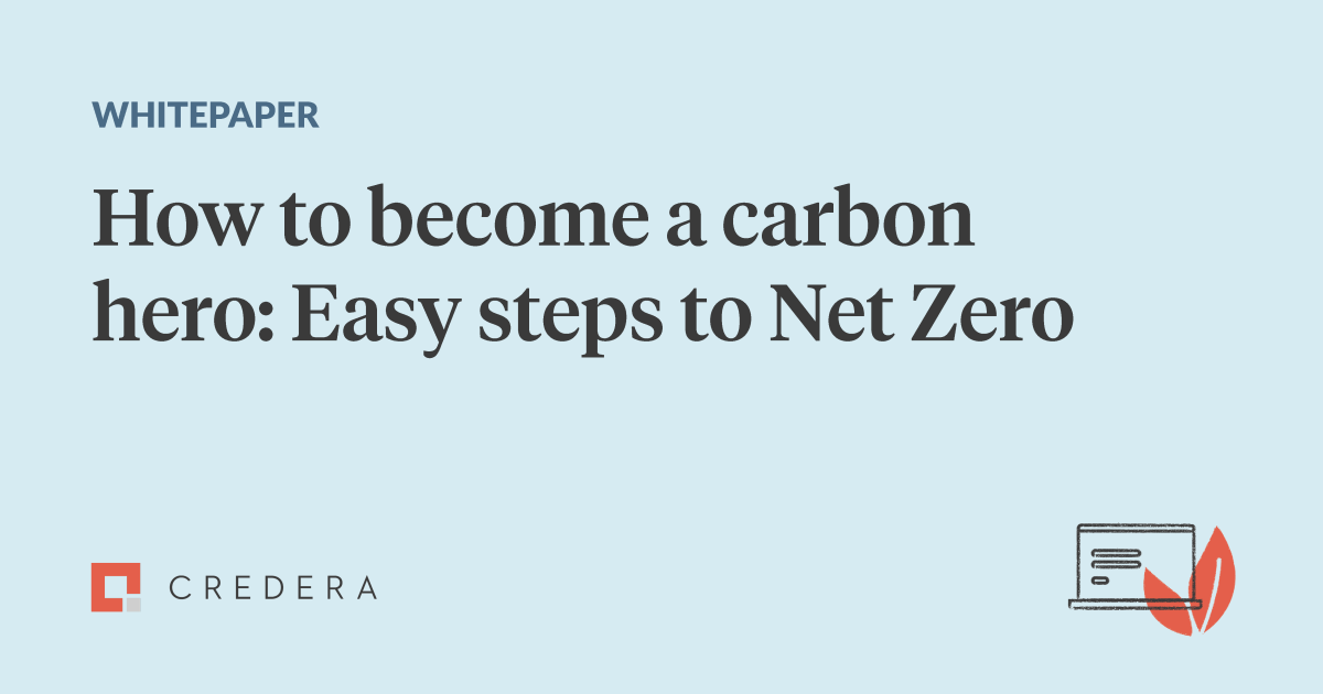 How to become a carbon hero: Easy steps to net zero