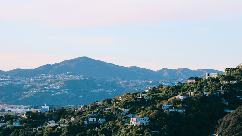 Join the Wellington team.