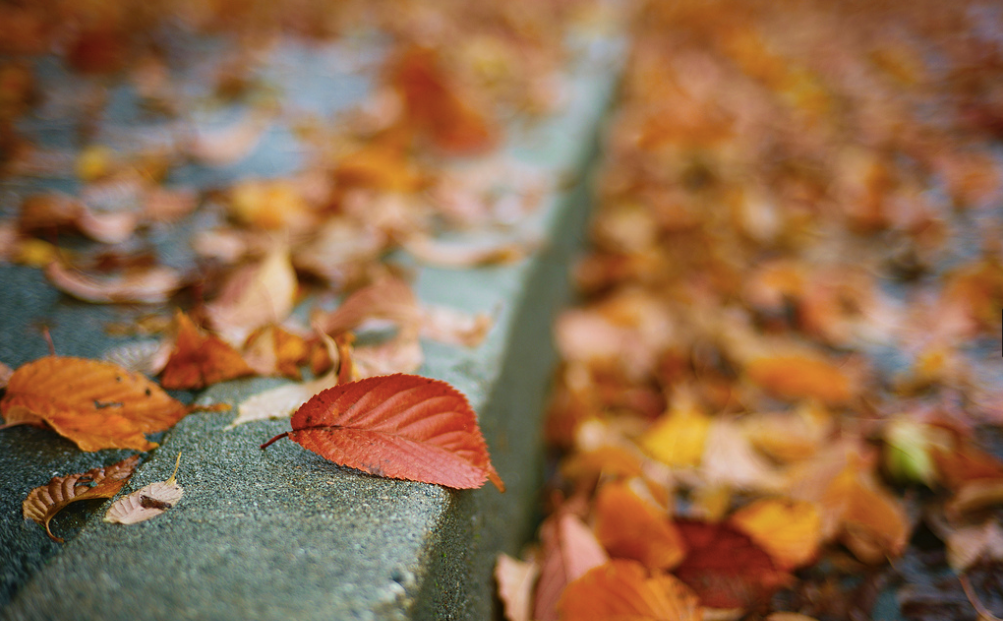 Building Resilience in an Ever-Changing World: Part 1 – Change Happens
