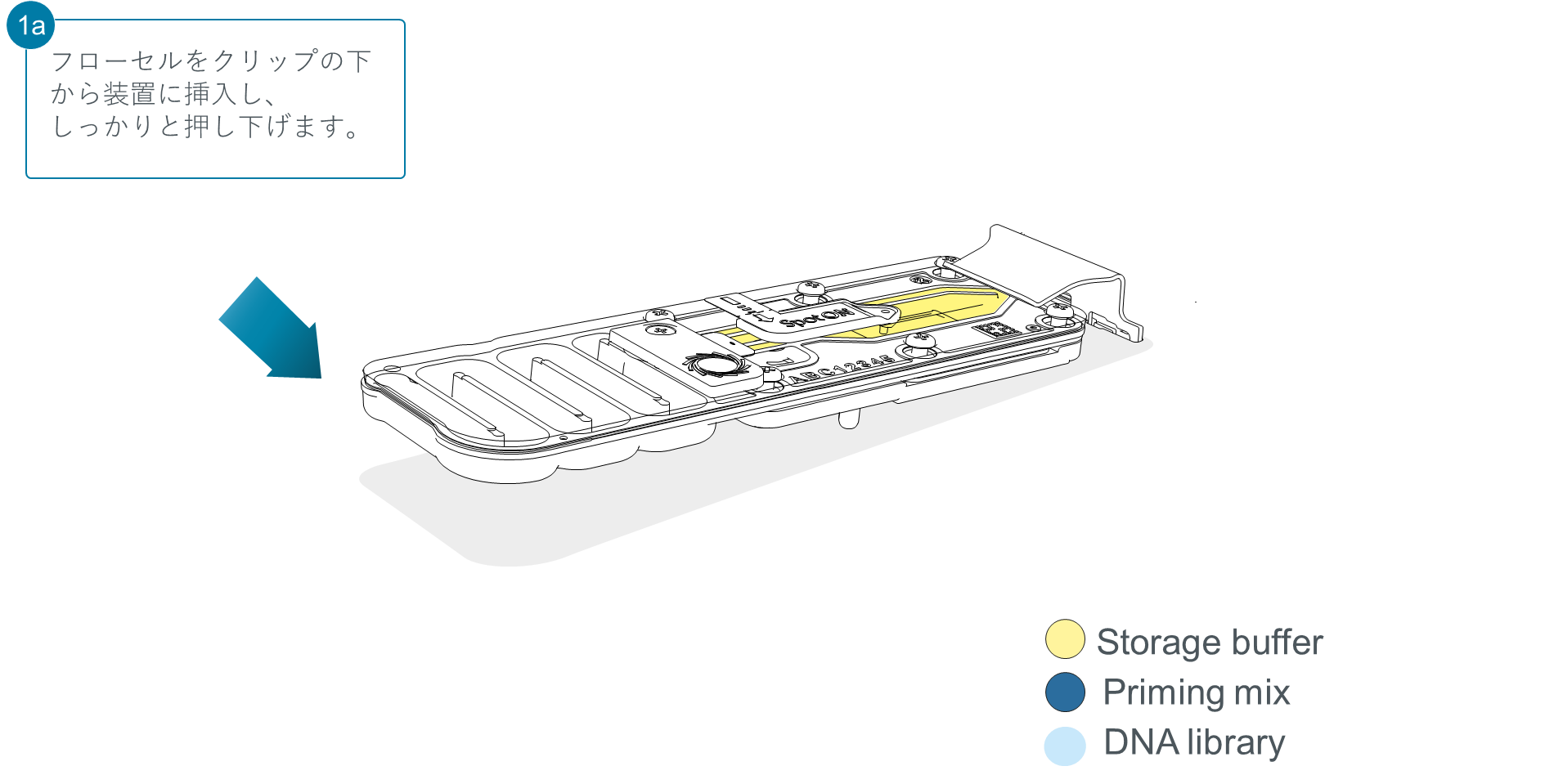 Flow Cell Loading Diagrams Step 1a_JP