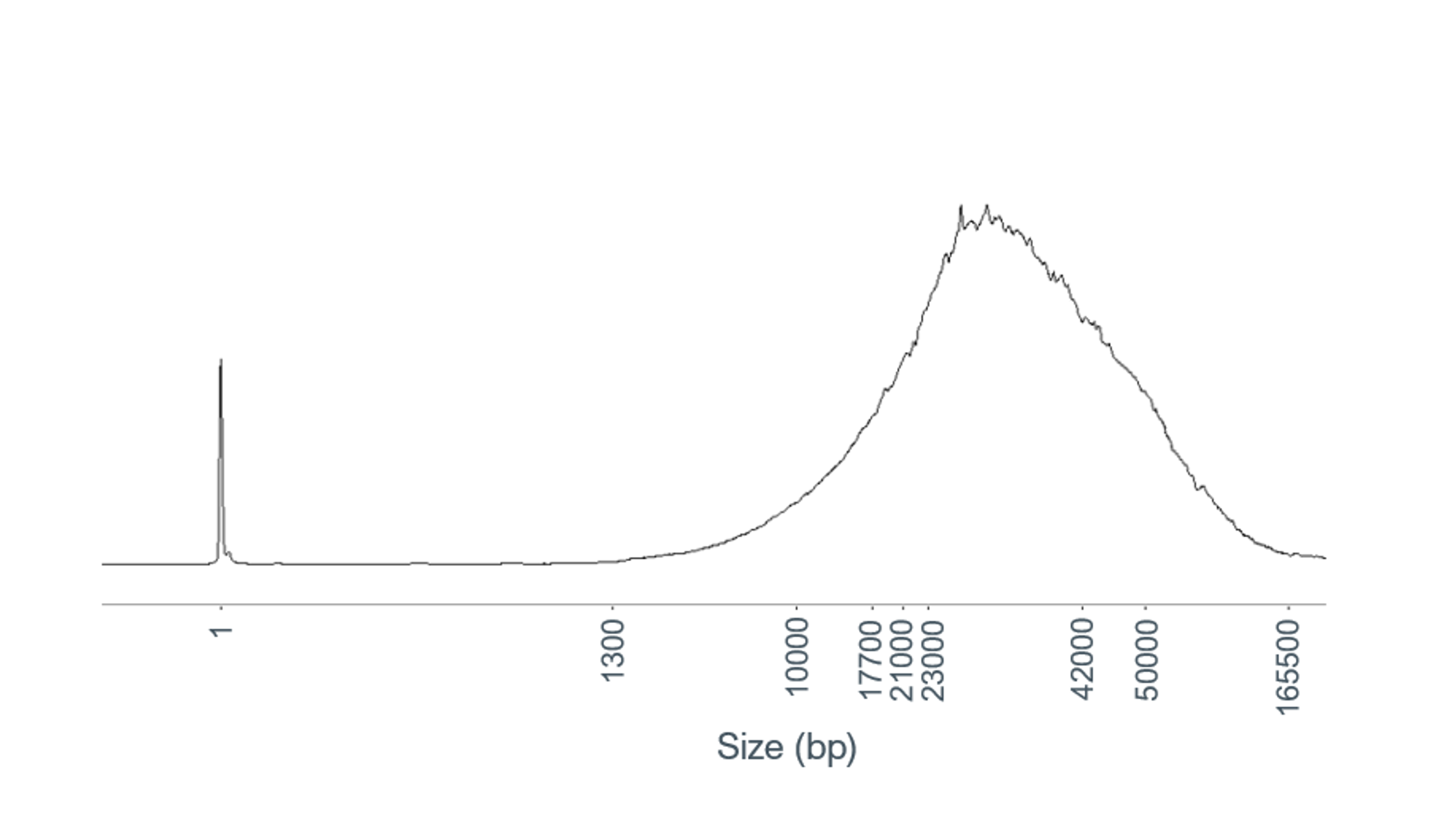 Frag length profile saliva extract Megarruptor1 hum var oct2024